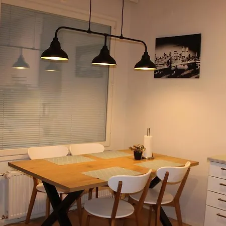 Entire Flat Downtown With Sauna & Garage Space *