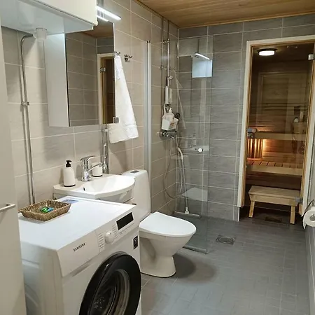 Entire Flat Downtown With Sauna & Garage Space