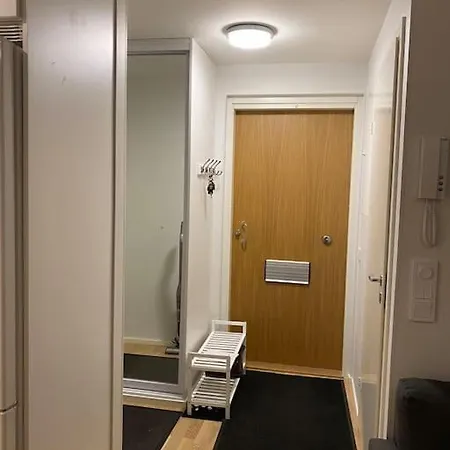 Entire Flat Downtown With Sauna & Garage Space *