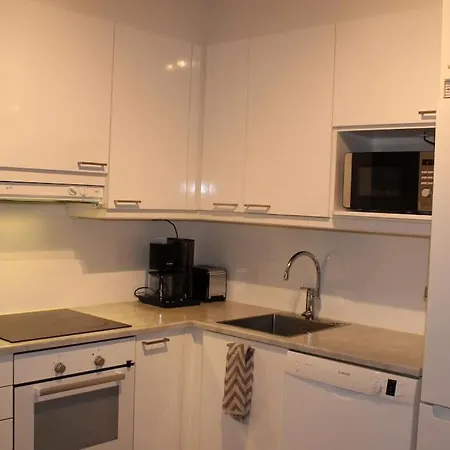 Entire Flat Downtown With Sauna & Garage Space