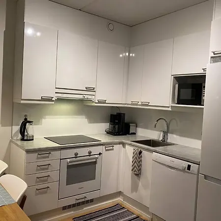 Entire Flat Downtown With Sauna & Garage Space
